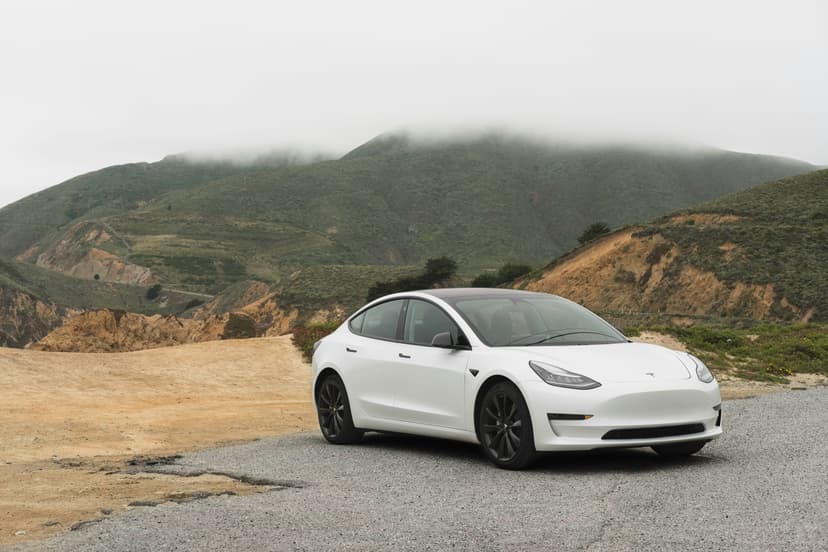 2019 Tesla Model 3 Standard Range